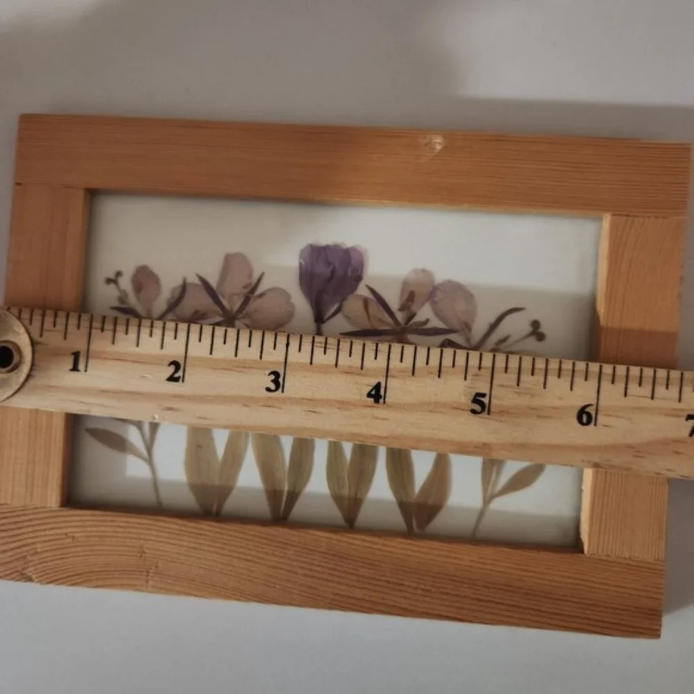 Framed Pressed Flowers Art Botanical‎ Nature Decor Wooden Frame